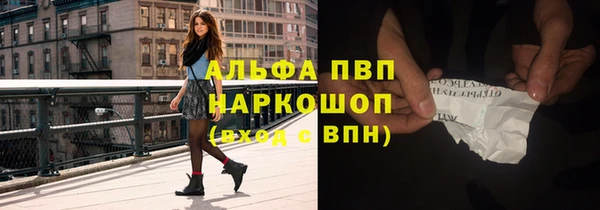гашик Белокуриха
