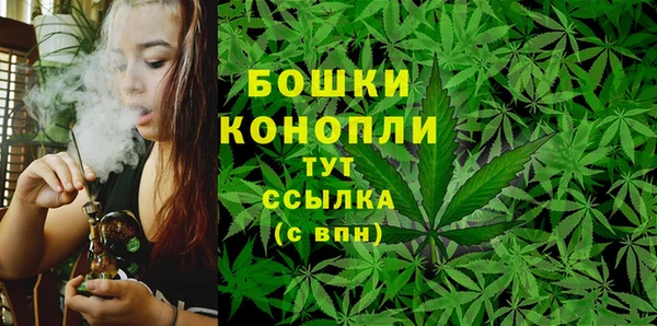 стаф Богородск