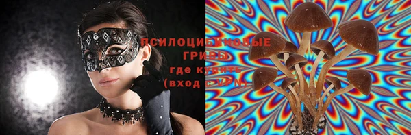 гашик Беломорск